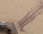 The cleanability of carpet fibres – Is wool or synthetic carpet easier to clean?