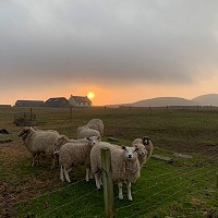 wool-carpet-focus-group-7